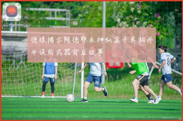 德媒揭示阿德耶米神秘盒子真相并非误购武器背后故事