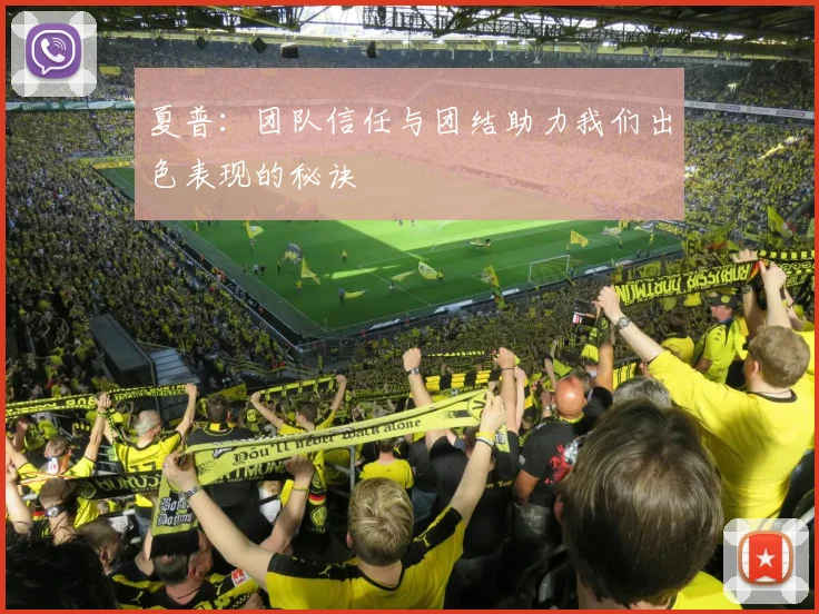 夏普：团队信任与团结助力我们出色表现的秘诀